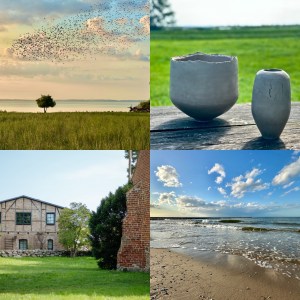 Workshop Reise Usedom 2026 Anzahlung